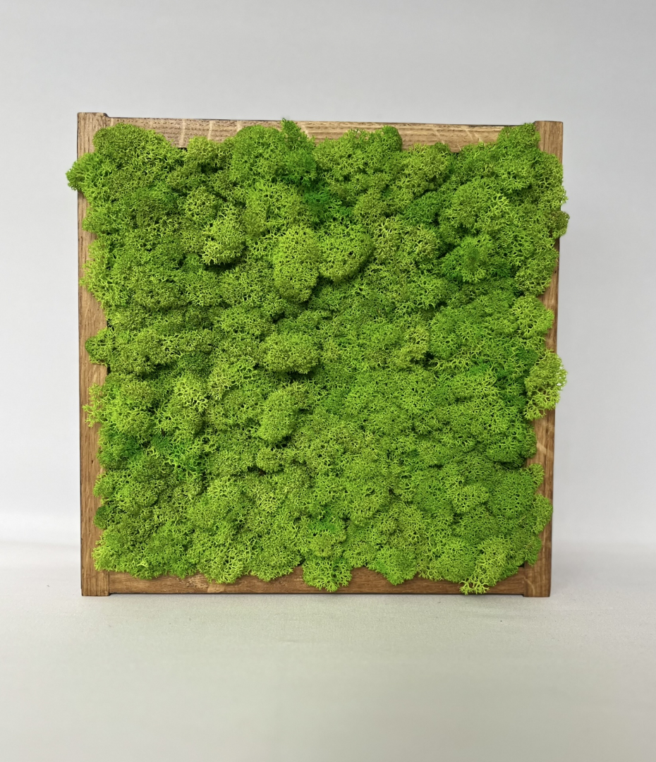 Zuzmókép Tölgyfa kerettel (25x25) grass green színnel.