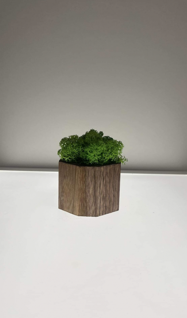 Zuzmó kocka(9x9 cm)