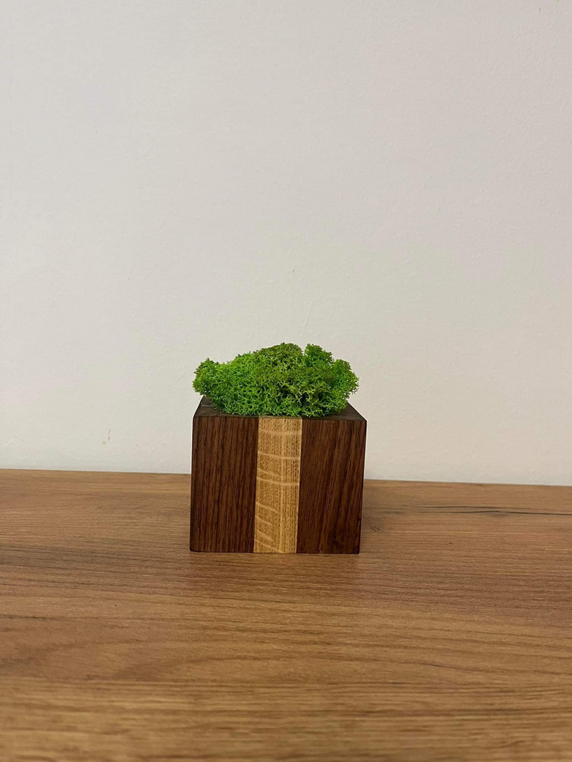 Zuzmó kocka (7x9 cm)
