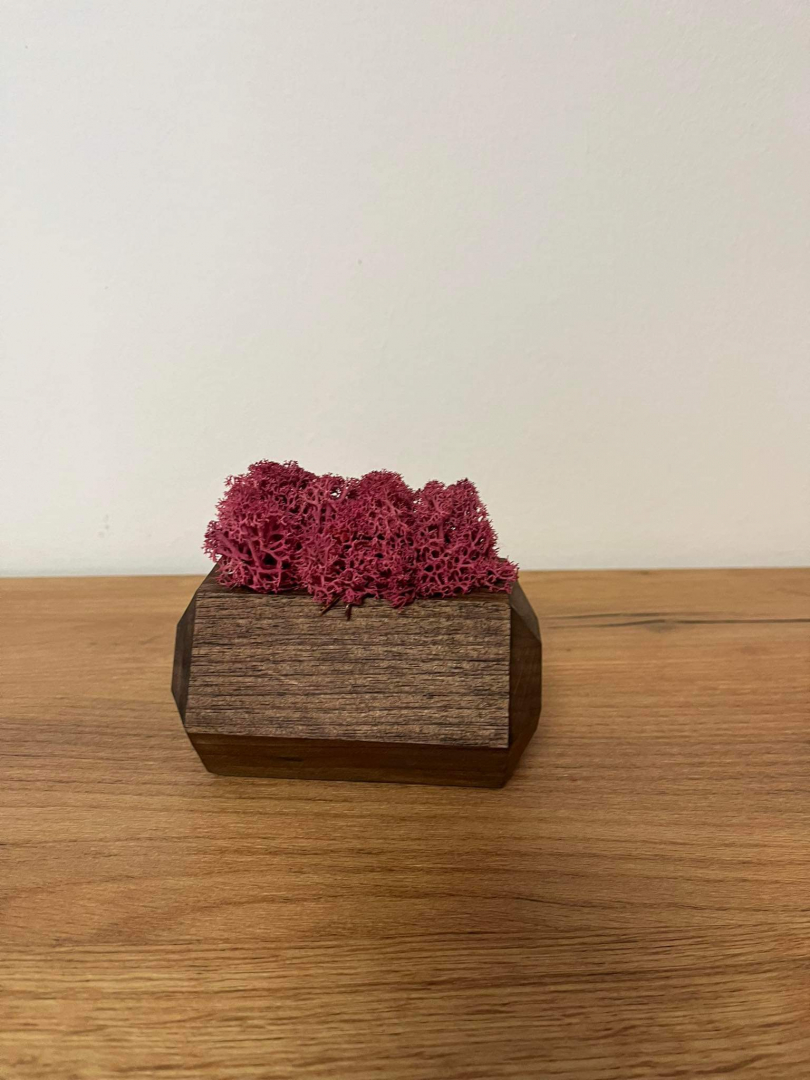 Zuzmóbetétes kaspó (pink)