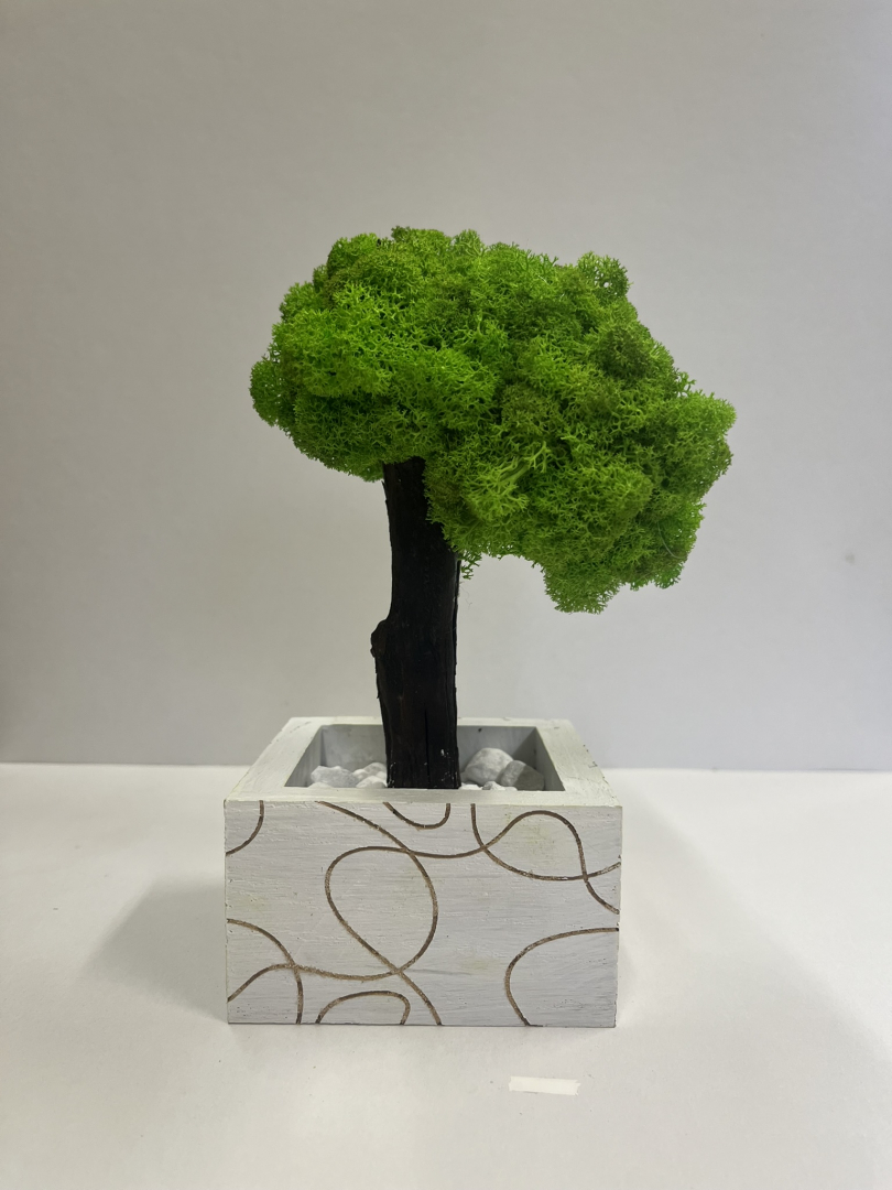 Zuzmó fa kaspóba.(4)