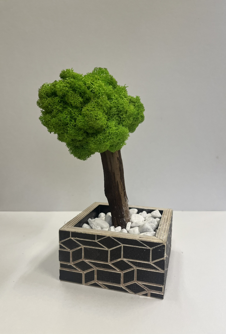 Zuzmó fa kaspóba.(6)