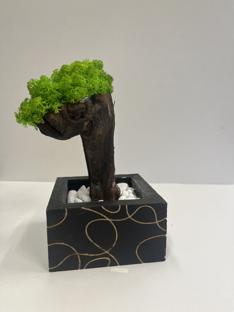 Zuzmó Fa kaspóba(7)