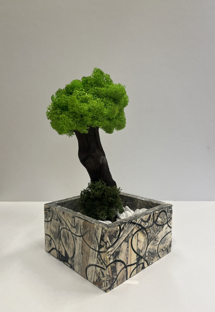 Zuzmó Fa kaspóba(8)