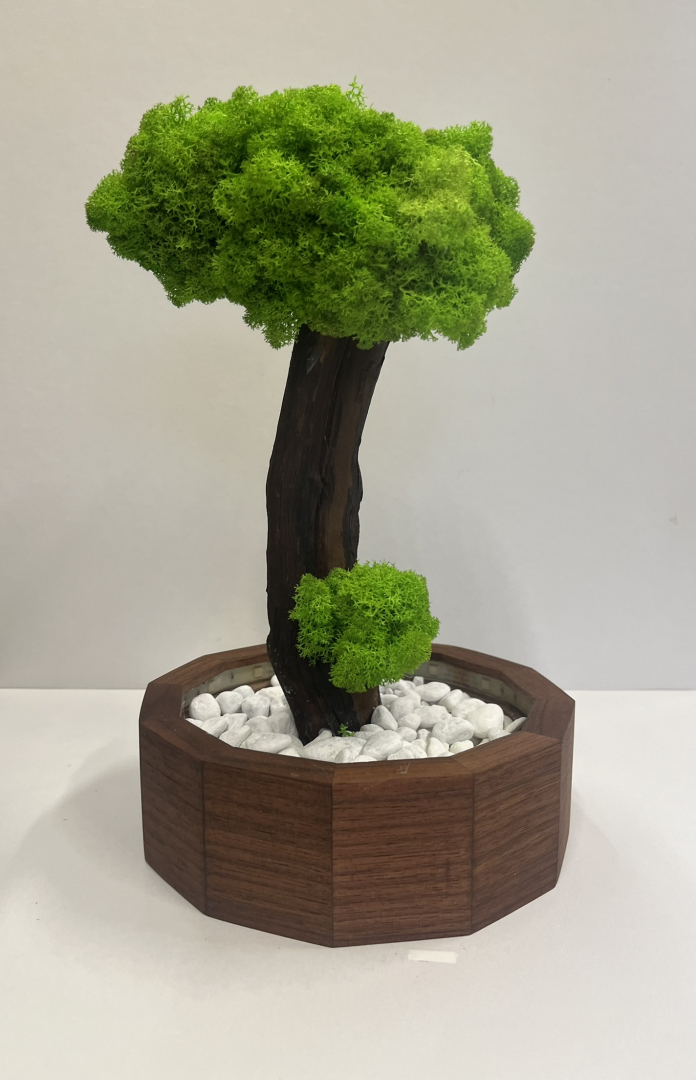 Zuzmó Fa kaspóba.(9)