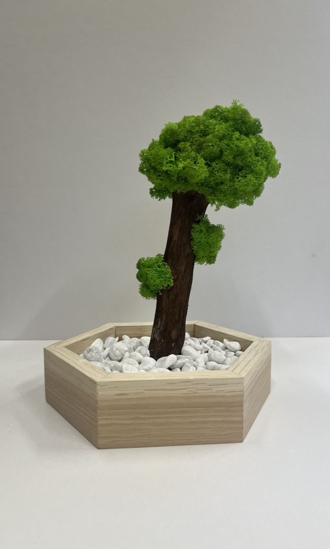 Zuzmó Fa kaspóba.(11)