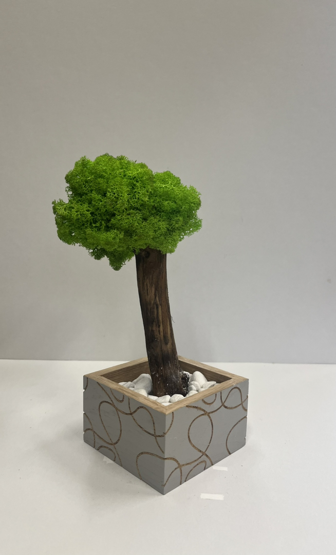 Zuzmó Fa kaspóba.(12)