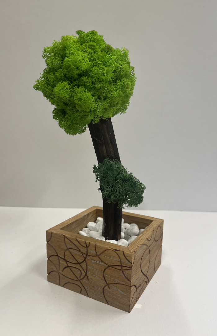 Zuzmó Fa kaspóba.(13)