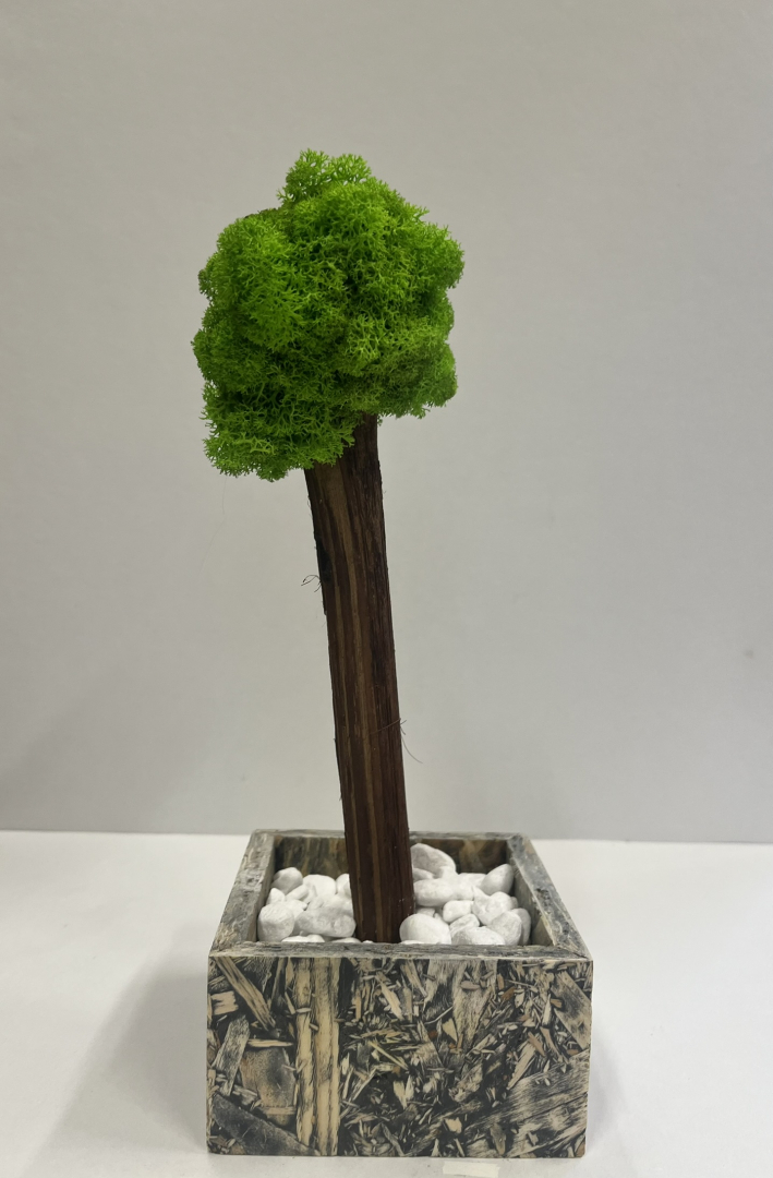 Zuzmó Fa kaspóba.(14)