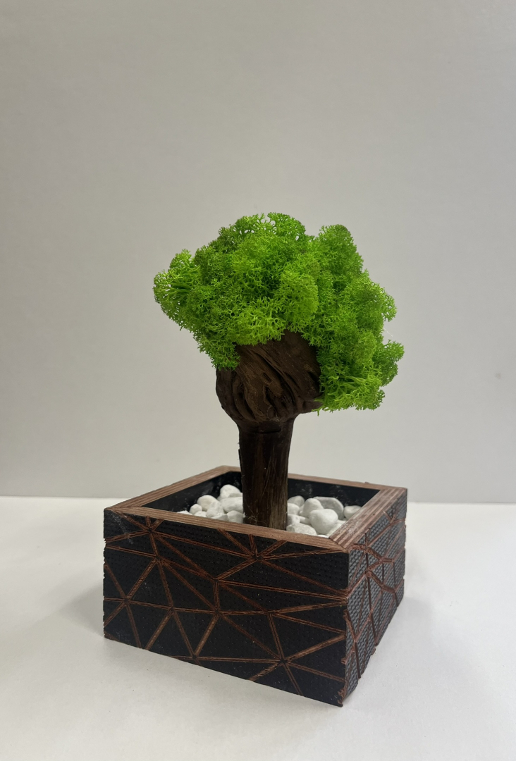 Zuzmó Fa kaspóba.(15)