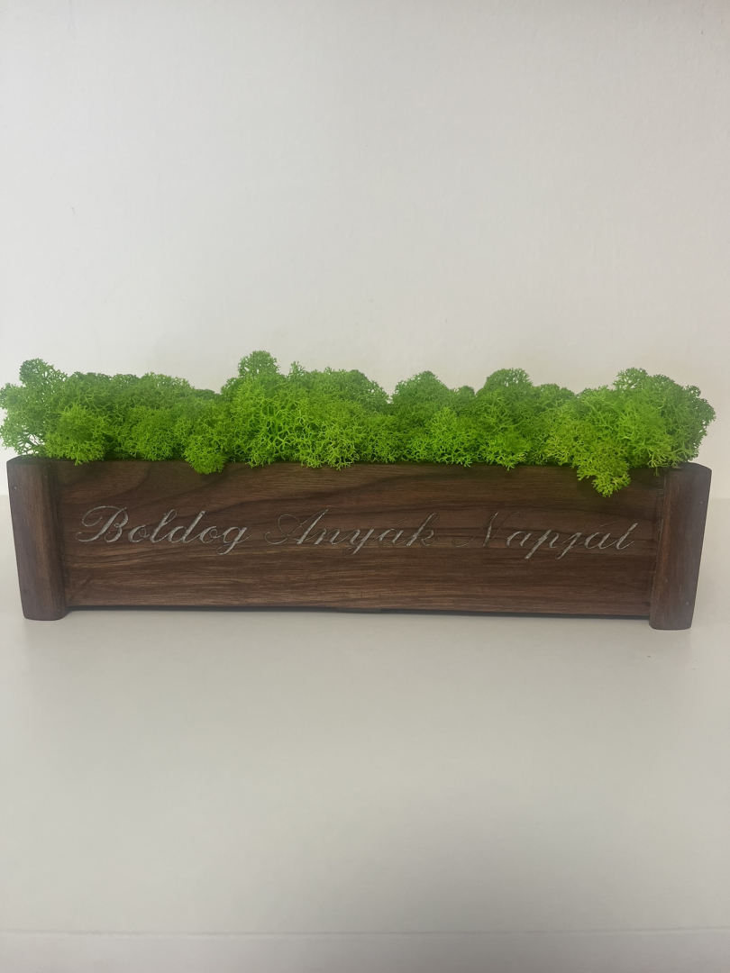 Anyák napi zuzmó dekoráció.(zöld79)