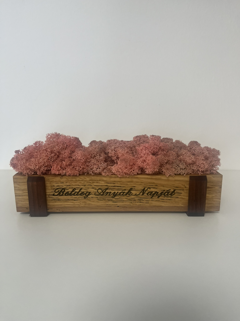 Anyák napi zuzmó dekoráció(rózsaszín)