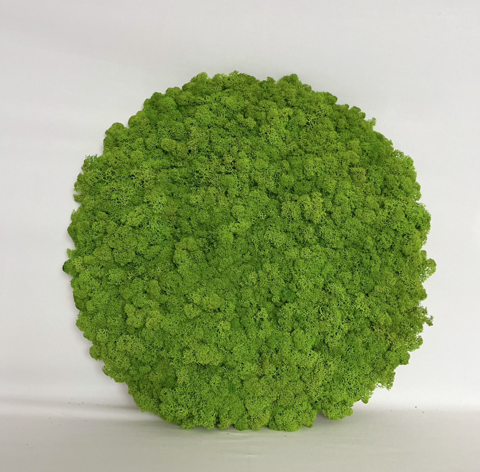 Zuzmó körpanel (átmérő 50 cm)